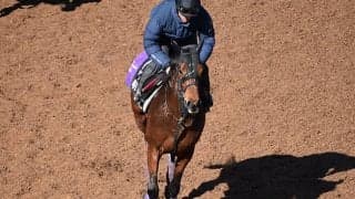 【きさらぎ賞想定騎手】ダンテスヴューは川田将雅騎手、マテンロウレオは横山典弘騎手