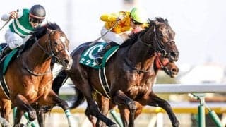 調教師生活40年、定年を前に... カラテと東京新聞杯連覇へ！ 高橋祥泰師のホースマン人生