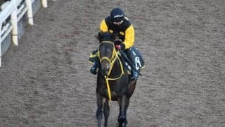 モズゴールドバレルなど、先週の入厩情報/栗東トレセンニュース