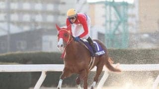 【名古屋・梅桜賞結果】アップテンペストが楽に逃げ切り8馬身差圧勝