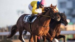 【川崎・ヴィクトリーチャレンジ結果】本田正重騎手騎乗の1番人気フウトが勝利