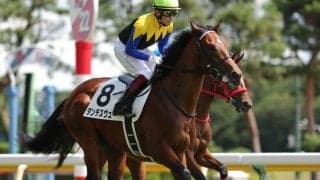 【きさらぎ賞予想オッズ】ダンテスヴューが予想1番人気