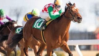 【地方競馬】大井の矢野貴之騎手が地方通算2000勝達成