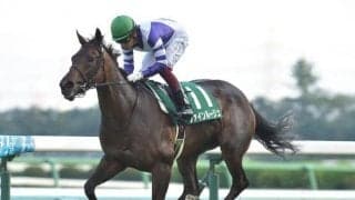 【東京新聞杯予想オッズ】ファインルージュが予想1番人気