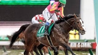 親仔制覇を達成したテイエムサウスダン　次を見据える大舞台では距離との戦いに