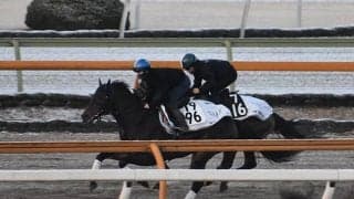 ダノンスコーピオン、共同通信杯1週前追い切り速報/栗東トレセンニュース