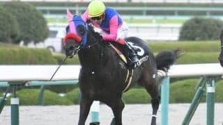 メイショウゲキリンはきさらぎ賞を回避　横山典弘騎手とのコンビでダートの自己条件戦へ