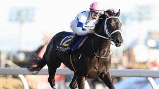 【川崎記念 13時時点オッズ】チュウワウィザードが単勝1.3倍の1番人気、ヴェルテックス、カジノフォンテンが続く