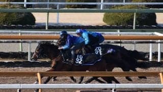 ベルクレスタ、クイーンC1週前追い切り速報/栗東トレセンニュース