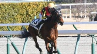 【次走】ショショローザはクイーンCへ　半兄にワールドプレミア、ヴェルトライゼンデ