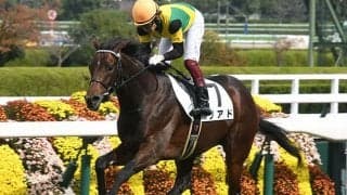 4.7億円高額馬　リアドは毎日杯を視野