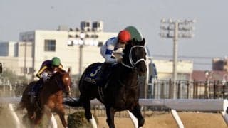 【川崎記念】チュウワウィザードが貫禄の勝利