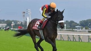 【東京新聞杯「見逃せない調教師」ベスト3】6番人気以下でも複勝率22.7％、東京マイルで穴を狙うならこの厩舎！