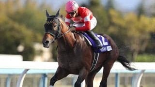 【フェブラリーS想定】連覇狙うカフェファラオ、JBCスプリント覇者レッドルゼル、交流重賞連勝のテオレーマなど