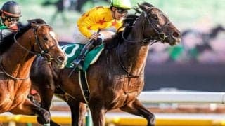 【東京新聞杯】人馬の重賞初制覇から1年…　引退間近の師にもう一度タイトルを