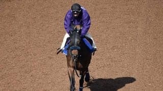 【きさらぎ賞「見逃せない調教師」ベスト3】集計期間内に中京芝2000mで勝率22.4％、アタマで期待するのはこの調教師！