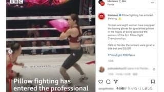 枕でバシバシ殴り合う格闘技が誕生　意外と迫力満点で海外笑撃「子供の頃思い出す」