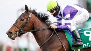 【東京新聞杯出走馬・騎手確定】ファインルージュ＆ルメール騎手、カラテ＆菅原明良騎手など16頭