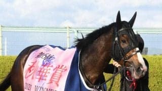 【次走】アカイトリノムスメは阪神牝馬Sからヴィクトリアマイルへ