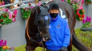 【JRA】フォイヤーヴェルク引退、乗馬に　2020年の新潟ジャンプS覇者
