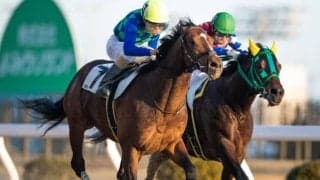 【川崎・多摩川オープン結果】森泰斗騎手騎乗の2番人気グレンツェントが久々の勝利