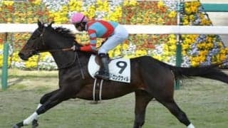 きさらぎ賞は今年も波乱か。血統から見るコース適性で期待の２頭をピックアップ