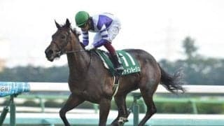 【東京新聞杯枠順確定】ファインルージュは4枠6番、カラテは5枠9番