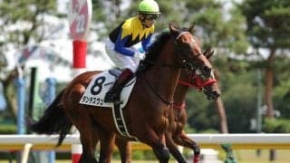 【きさらぎ賞枠順確定】ダンテスヴューは3枠3番、マテンロウレオは2枠2番