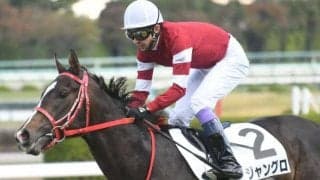 【サウジダービー】藤田晋氏所有のジャングロは招待を辞退