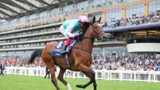 【海外競馬】G1・11勝の女傑エネイブル　今年はドバウィと交配予定