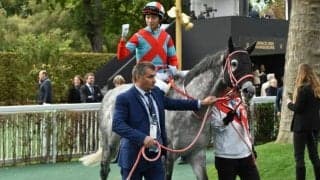 【海外競馬】エントシャイデンが1351ターフスプリントの招待受諾　サウジCデーのG3競走