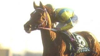 マックスロゼが死亡　29歳、同期にエアグルーヴ