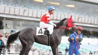【地方競馬】オグリキャップの孫娘が笠松競馬デビュー