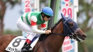 クイーンC出走予定のソネットフレーズは右前脚不安で回避