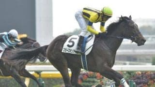 【クイーンC想定】スターズオンアースは横山武史騎手、ショショローザは岩田望来騎手