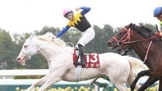 【フェブラリーS想定】白毛馬ソダシ、JBCクラシック覇者ミューチャリーなど21頭