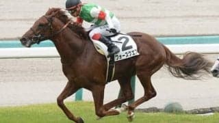 きさらぎ賞は京成杯、根岸Ｓでも穴馬を導き出した「過去データ」から抽出した３頭に要注意