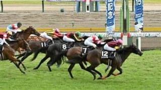 東京新聞杯は人気の盲点となっている「上がり馬」と「反撃ある実力馬」に注意せよ