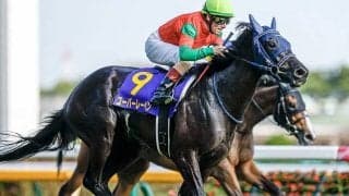 【京都記念想定】ユーバーレーベンはM.デムーロ騎手、マカヒキは岩田望来騎手