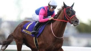 【佐賀記念枠順確定】メイショウカズサは大外8枠11番、ケイアイパープルは6枠6番