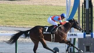 【アルデバランS結果】復帰初日の福永祐一騎手がスマッシングハーツを勝利に導く