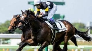 【きさらぎ賞予想】ノーザンファーム生産馬が好調！ 「○○の重要性」が経験を上回る!?