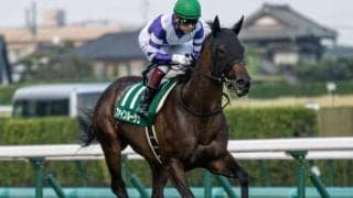 【東京新聞杯前日オッズ】ファインルージュが3.0倍で1番人気