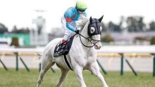 【東京新聞杯】流れをつくる馬がいると簡単には差せない芝状態/万哲の馬場予報