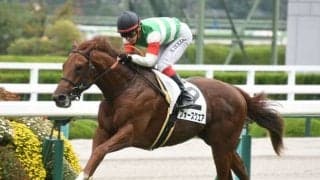 【WIN5予想】東京新聞杯は臨戦過程や馬齢に注目したい一戦