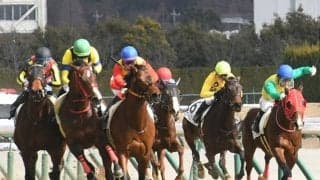 【JRA】池添謙一騎手が2月19日から9日間の騎乗停止、中京5Rで降着