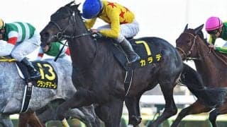 【東京新聞杯予想】前走のレース選択が明暗を分ける!? 格重視もフレッシュさがポイントに