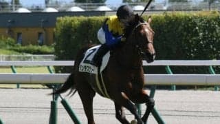 【きさらぎ賞】ダンテスヴュー陣営「かなりのポテンシャルを感じています」/ねぇさんのトレセン密着