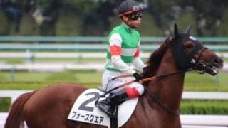 【きさらぎ賞】フォースクエア陣営「操縦性が優れている」/ねぇさんのトレセン密着