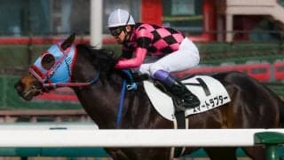 【中京2R】武豊 スマートラプターが初勝利